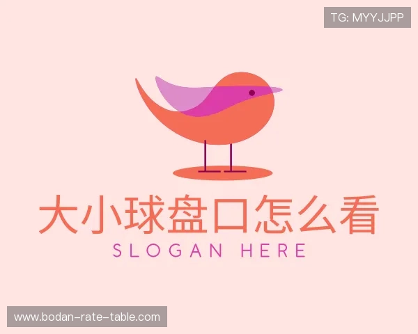 关于足球波胆